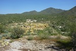 photo thumbnail #14