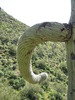 photo thumbnail #15