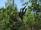 photo thumbnail #6