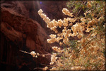 photo thumbnail #15