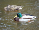 Featured Full Photo
