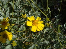 photo thumbnail #12