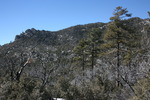 photo thumbnail #7