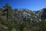 photo thumbnail #9