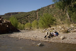 photo thumbnail #4