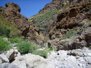 photo thumbnail #15
