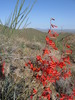 photo thumbnail #2