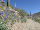 photo thumbnail #6
