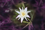 photo thumbnail #14
