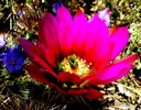photo thumbnail #12