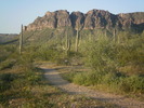 photo thumbnail #7