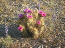 photo thumbnail #8