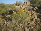 photo thumbnail #10