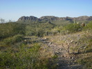 photo thumbnail #12