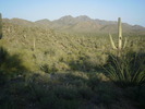 photo thumbnail #14
