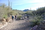 photo thumbnail #1