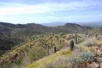 photo thumbnail #7