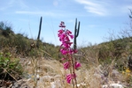photo thumbnail #11