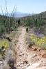 photo thumbnail #13