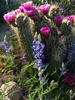 photo thumbnail #2