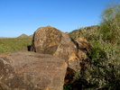photo thumbnail #4