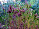 photo thumbnail #15