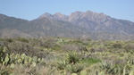 photo thumbnail #6