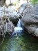 photo thumbnail #8