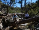 photo thumbnail #3