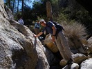 photo thumbnail #4