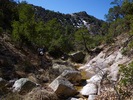 photo thumbnail #6