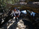 photo thumbnail #8
