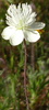 Featured Detail Photo