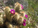photo thumbnail #4