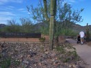 photo thumbnail #2