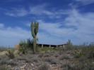 photo thumbnail #12