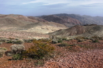 photo thumbnail #1