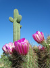 photo thumbnail #15