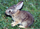 photo thumbnail #9