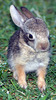 photo thumbnail #10