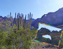 photo thumbnail #1