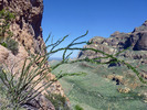 photo thumbnail #7