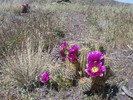 photo thumbnail #7