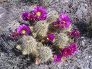 photo thumbnail #8