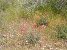 photo thumbnail #11