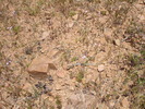 photo thumbnail #12