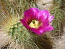 photo thumbnail #3