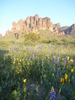 photo thumbnail #12