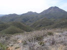 photo thumbnail #3