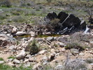 photo thumbnail #5
